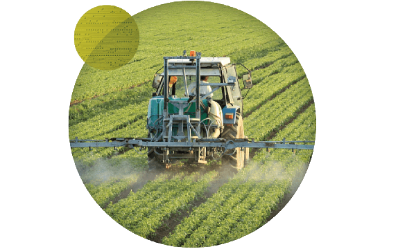 Sardar%20Zadran%20Agriculture%20and%20Livestock%20Company